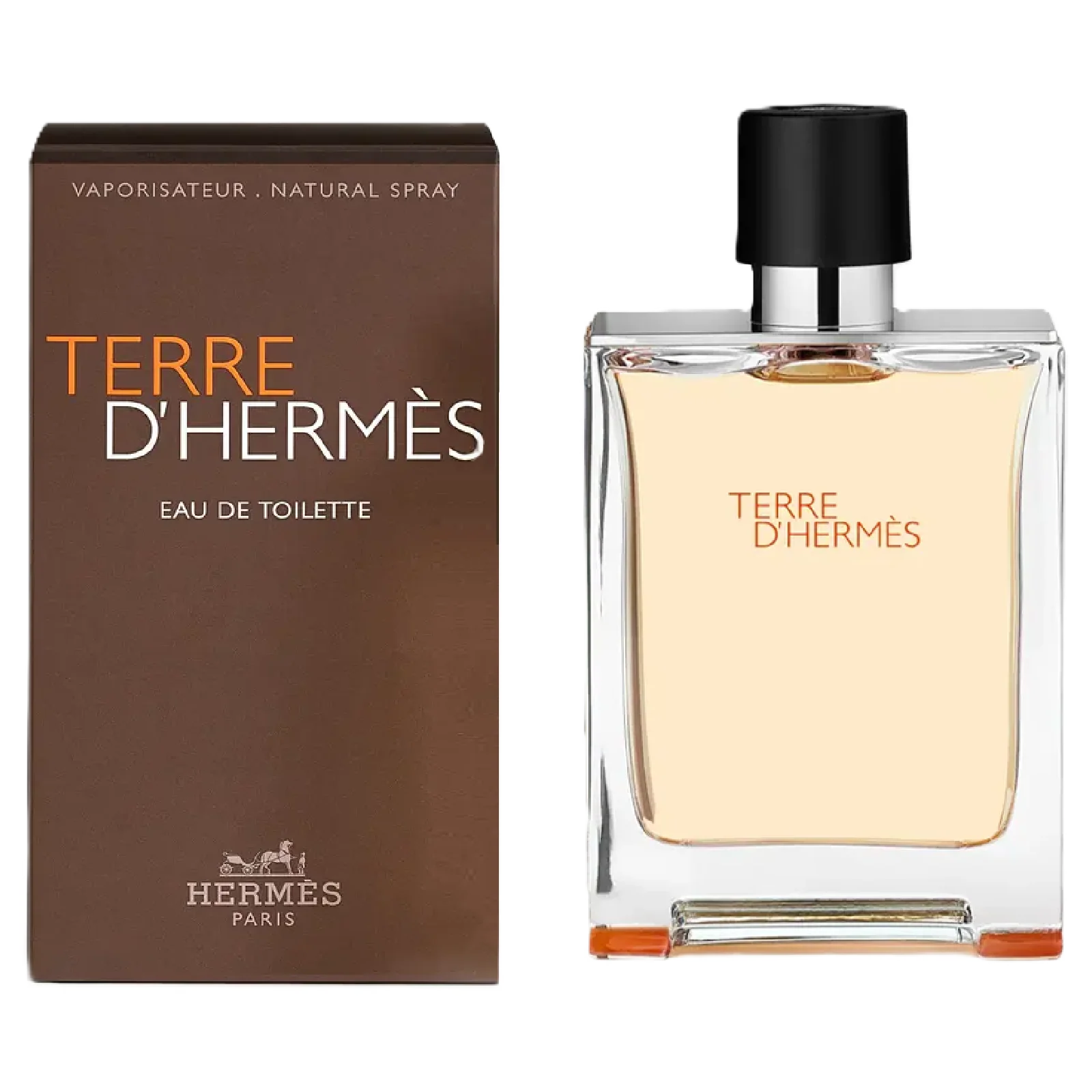 Hermès Terre d'Hermès Eau de Toilette 200ml
