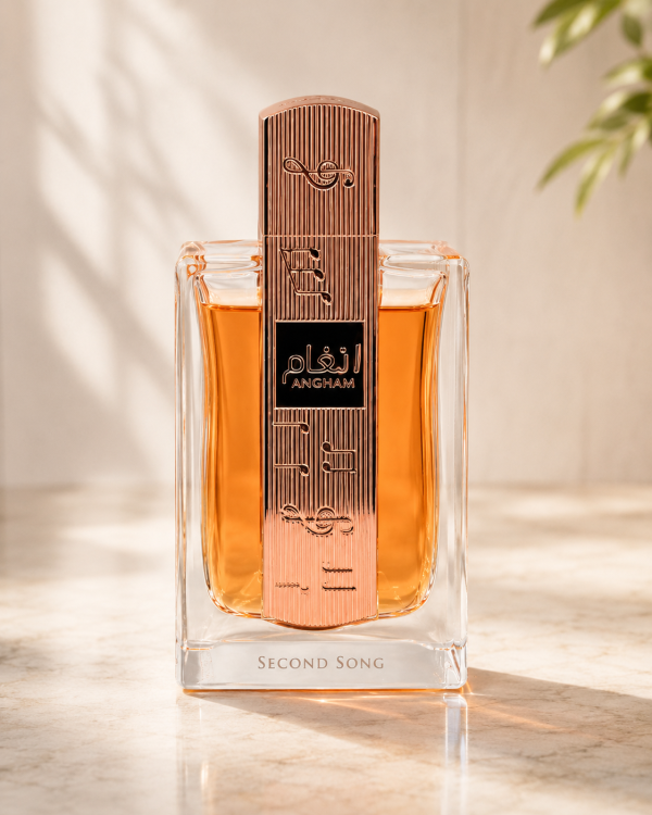Angham second song 2 600x750